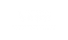 VAN'S